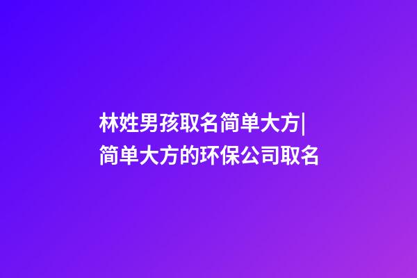 林姓男孩取名简单大方|简单大方的环保公司取名-第1张-公司起名-玄机派